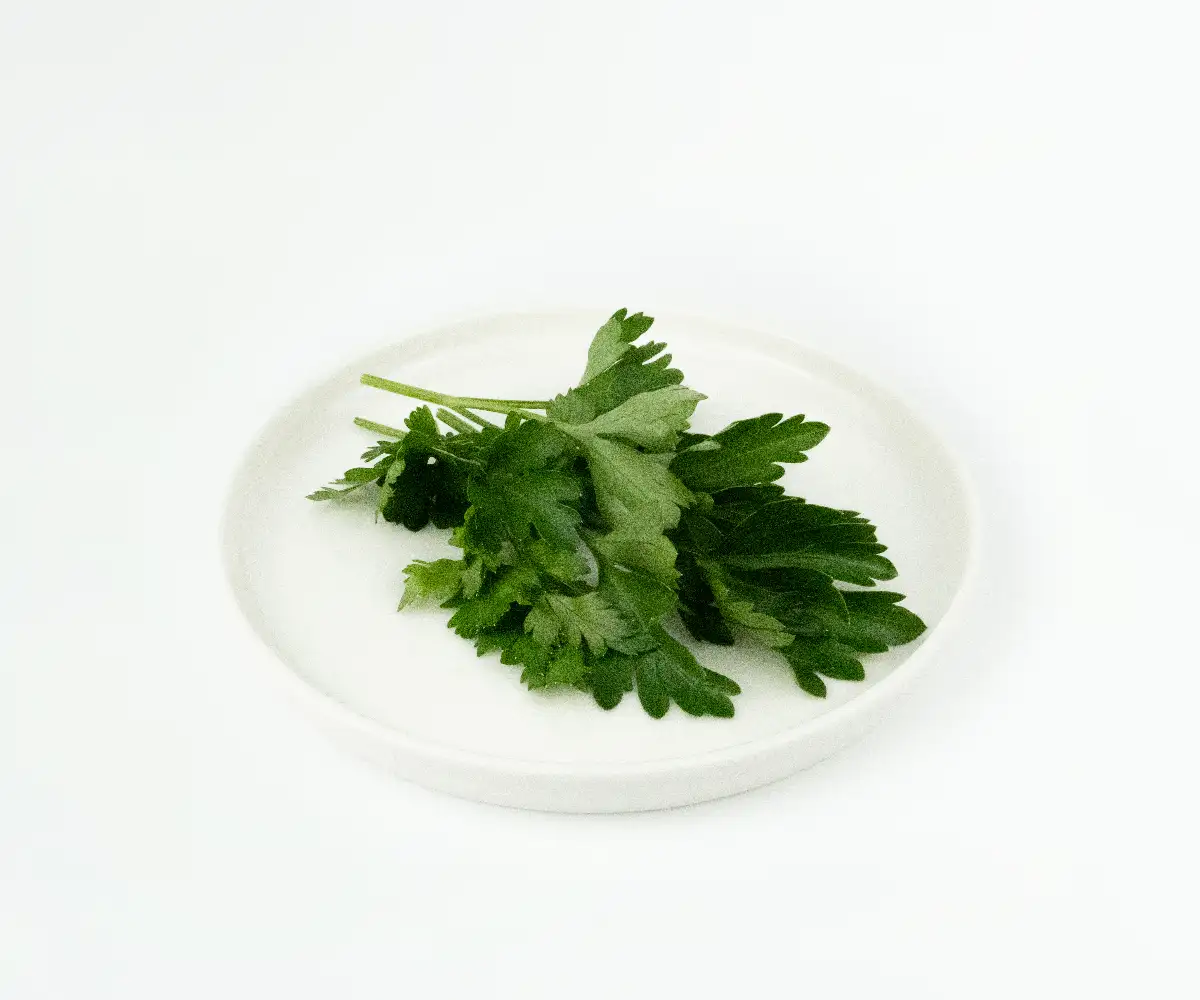 aplusbanket-menu-255