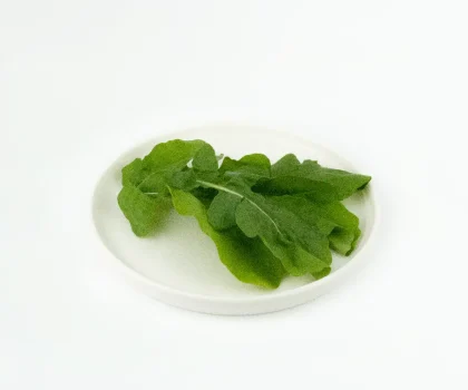 aplusbanket-menu-256